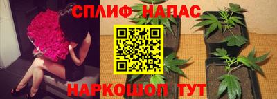 a pvp Кулебаки
