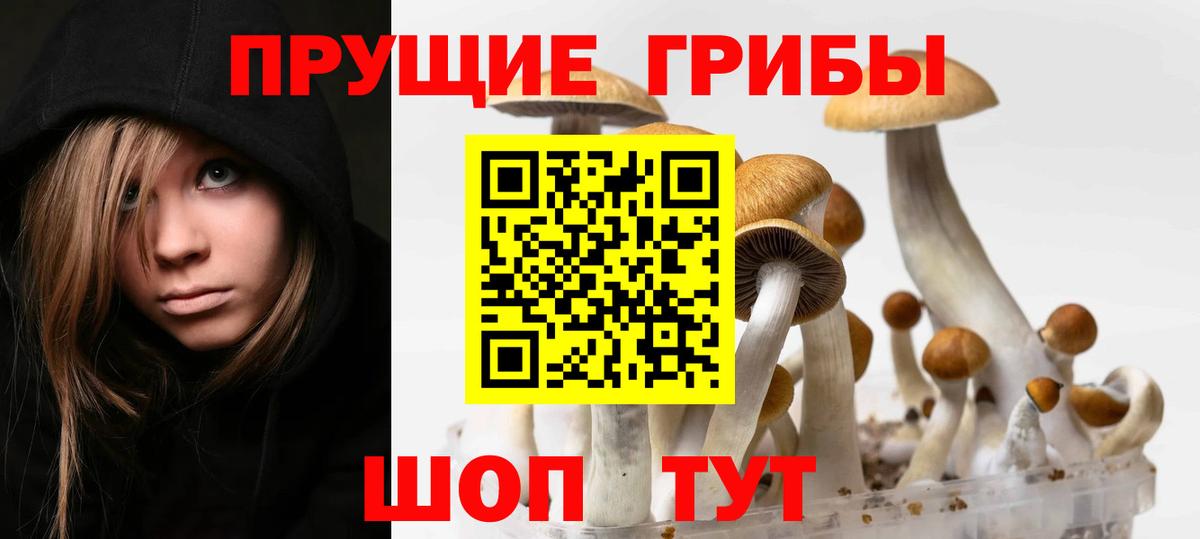 Ессентуки  Галлюциногенные грибы Magic Shrooms  Вход с VPN 